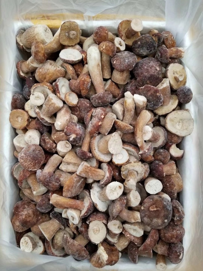 野生美味牛肝菌白牛肝菌冻品大腿菇产地现货直销批发