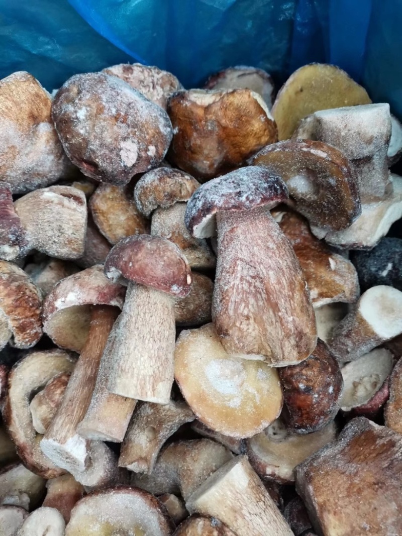 野生美味牛肝菌白牛肝菌冻品大腿菇产地现货直销批发