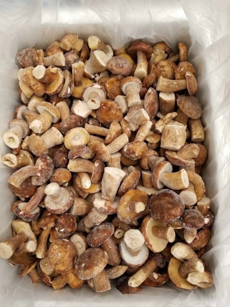野生美味牛肝菌白牛肝菌冻品大腿菇产地现货直销批发
