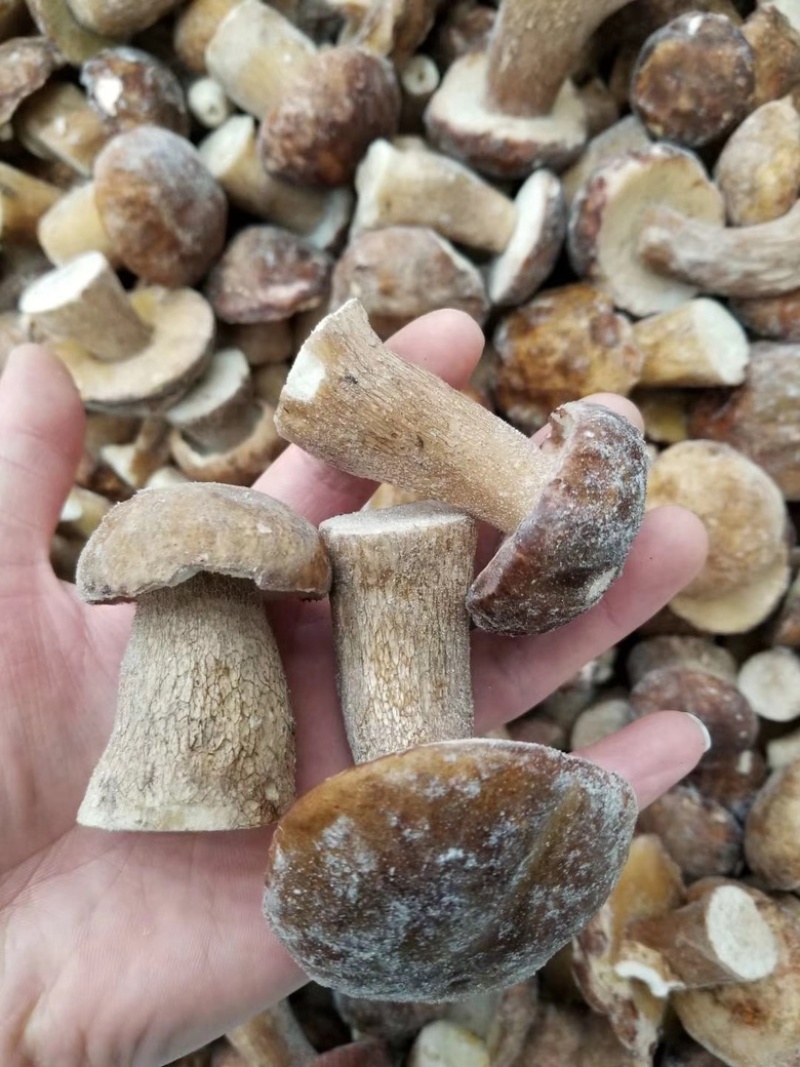 野生美味牛肝菌白牛肝菌冻品大腿菇产地现货直销批发
