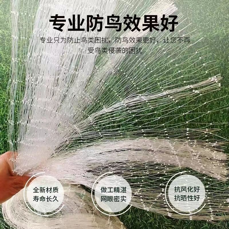 防鸟网尼龙加粗大棚果树樱桃专用葡萄稻谷果园养殖鱼塘尼龙网