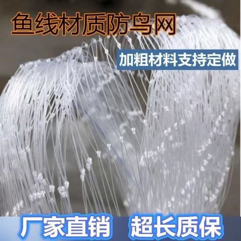防鸟网尼龙加粗大棚果树樱桃专用葡萄稻谷果园养殖鱼塘尼龙网