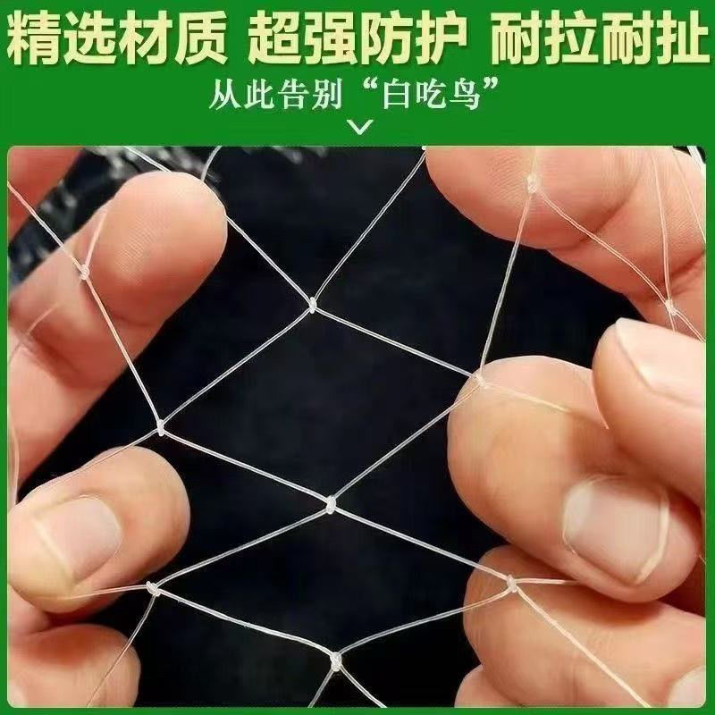 防鸟网尼龙加粗大棚果树樱桃专用葡萄稻谷果园养殖鱼塘尼龙网