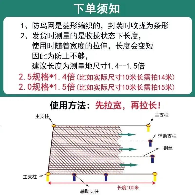 防鸟网尼龙加粗大棚果树樱桃专用葡萄稻谷果园养殖鱼塘尼龙网