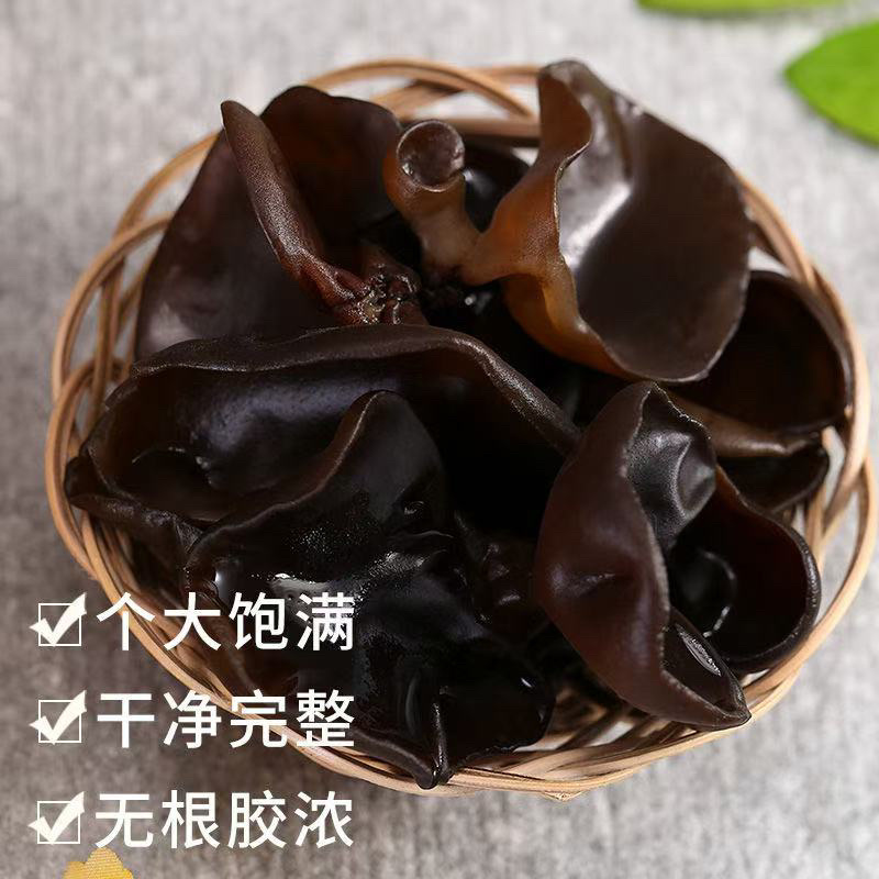 东北黑木耳