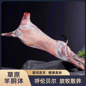 【纯正】呼伦贝尔草原放牧散养·羊酮体