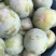 芙蓉李大量上市日发5万斤