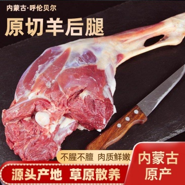 【纯正】呼伦贝尔草原放牧散羊·羊后腿
