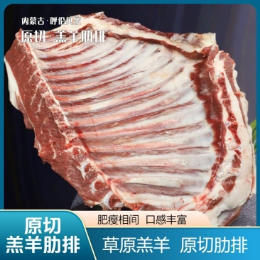 呼伦贝尔草原放牧散养·羊肋排整扇