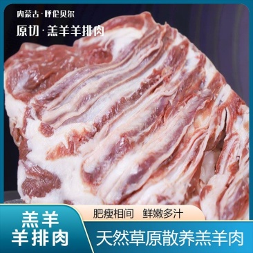 【纯正】呼伦贝尔草原放牧散养·羊排肉