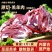 呼伦贝尔草原放牧散养·羊后腿肉