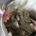 青枯，质量上等。