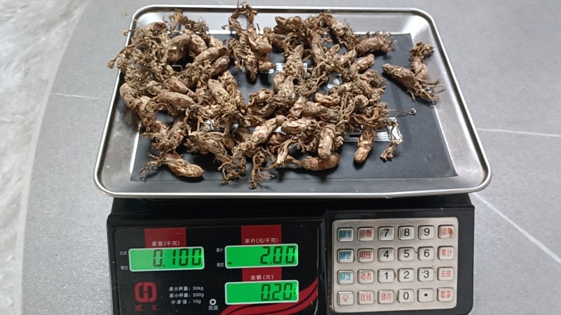 【包邮】金蝉花严格筛选品质无忧支持一件代发