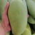 甜心金煌芒