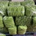 【推荐】湖北精品四季豆产地直供一手货源品质保证量大优惠