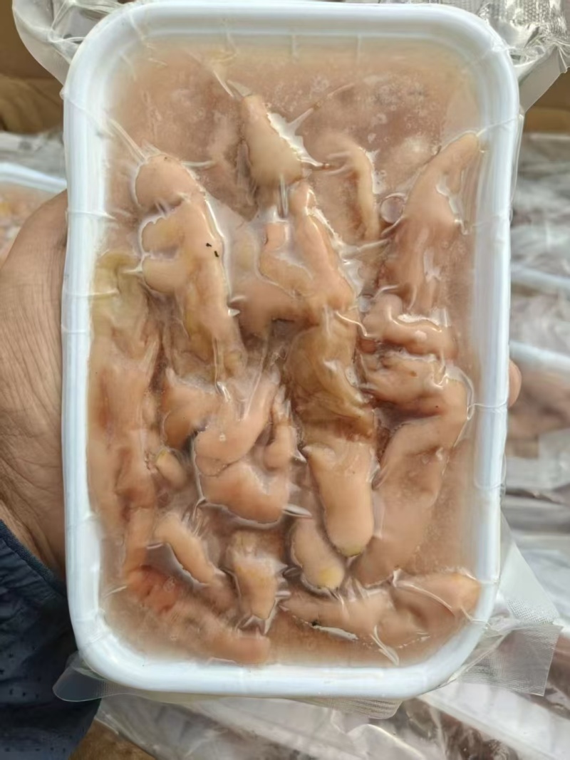 海肠