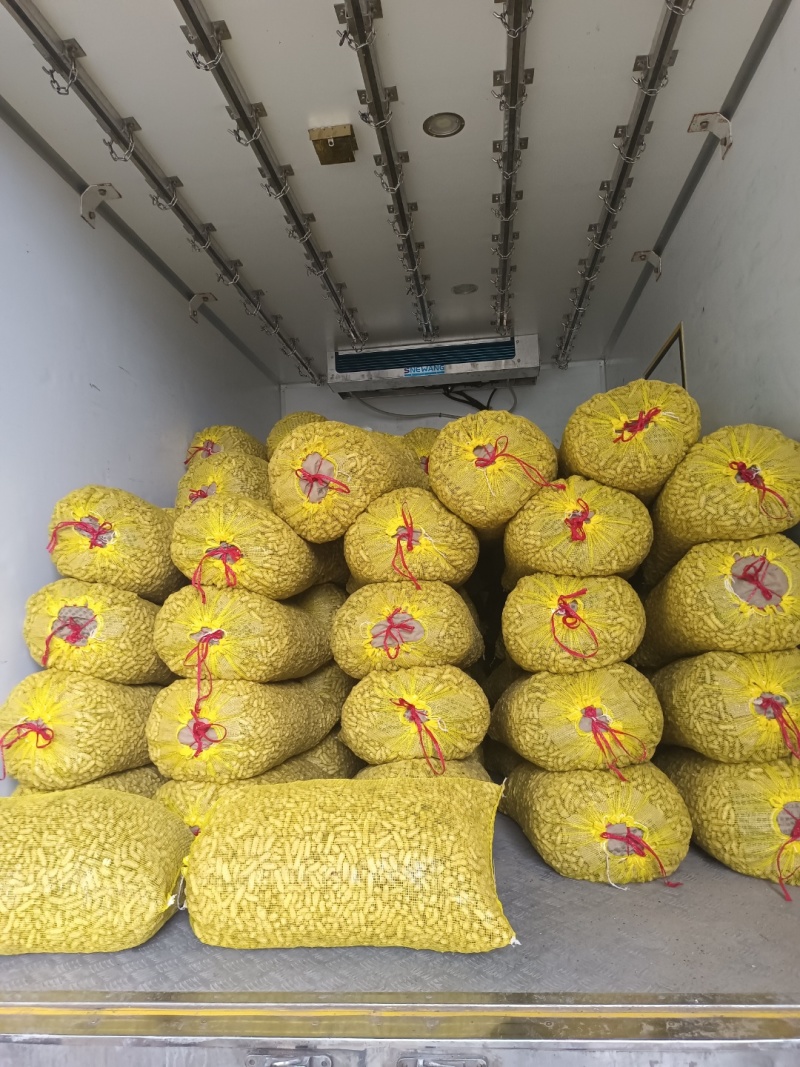 湖北产地带壳鲜花生四粒红鲜花生产地直发市场加工厂