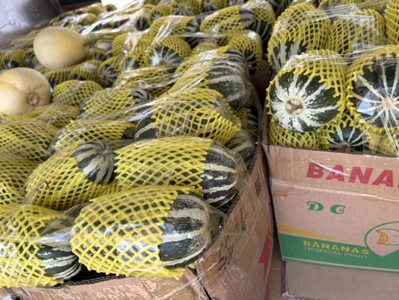 博洋甜瓜，博洋九博洋九一产地直供实力代发全国商超