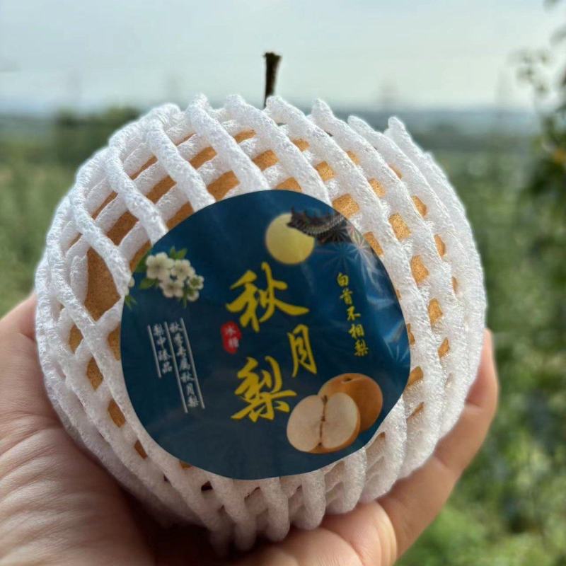 秋月梨