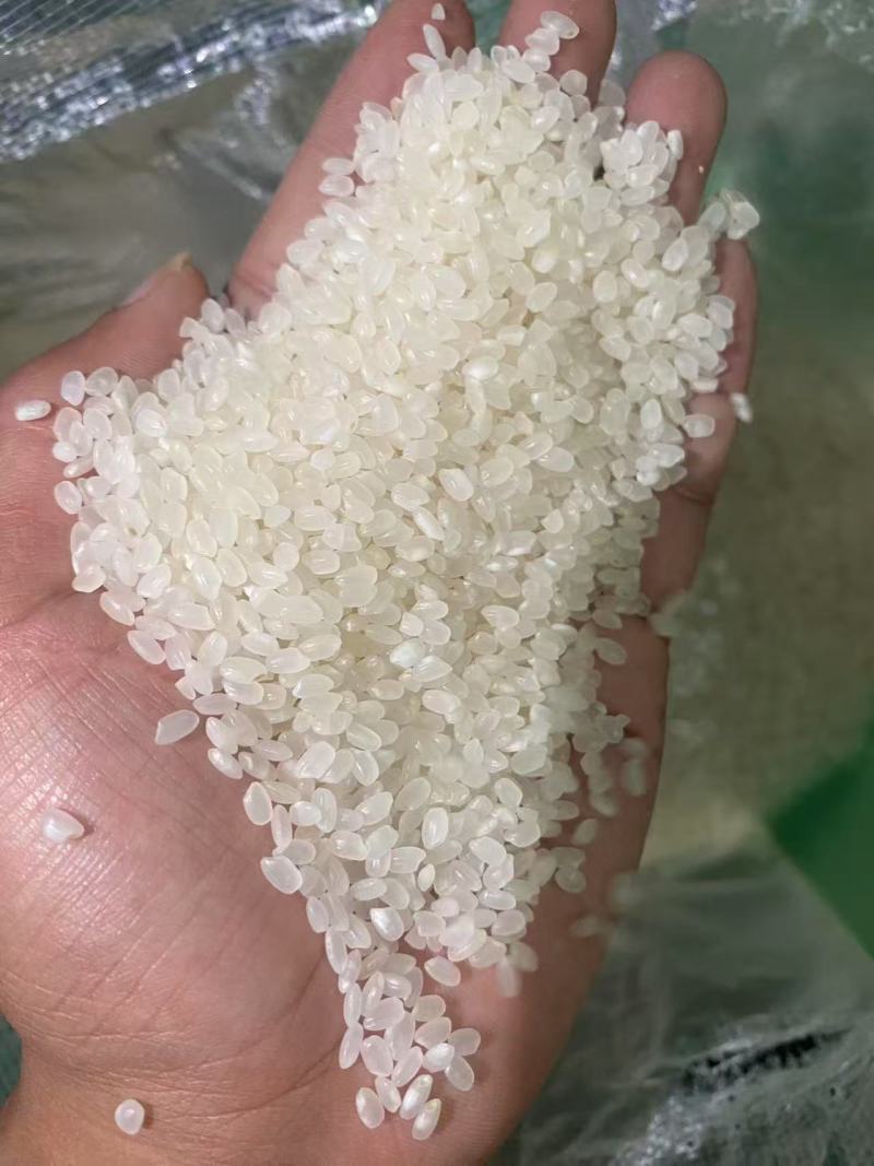 珍珠米