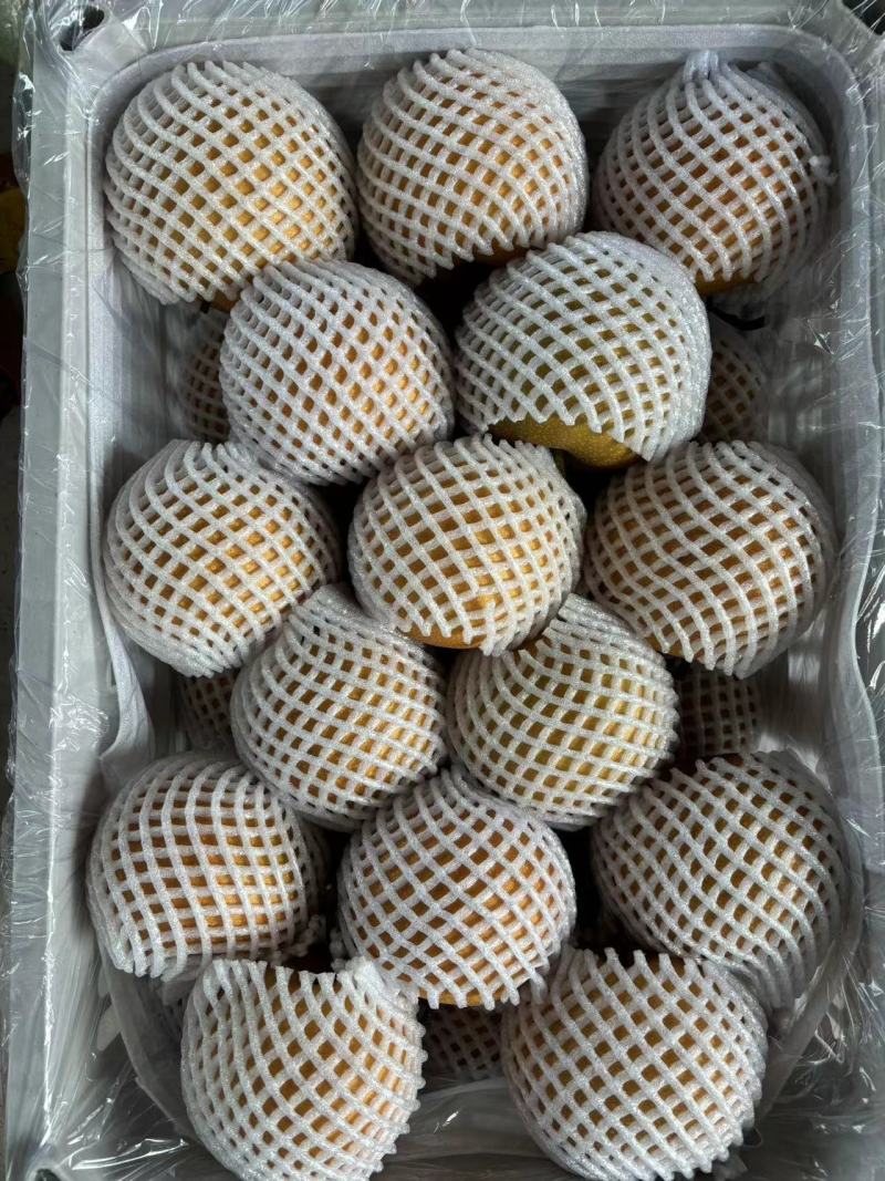 秋月梨