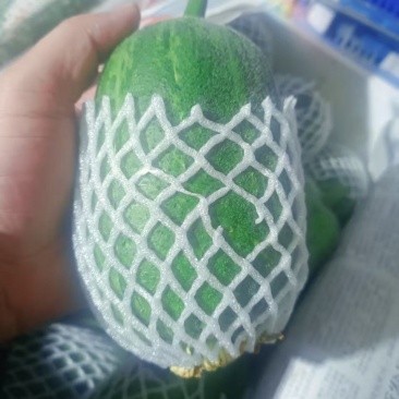 苹果丝瓜