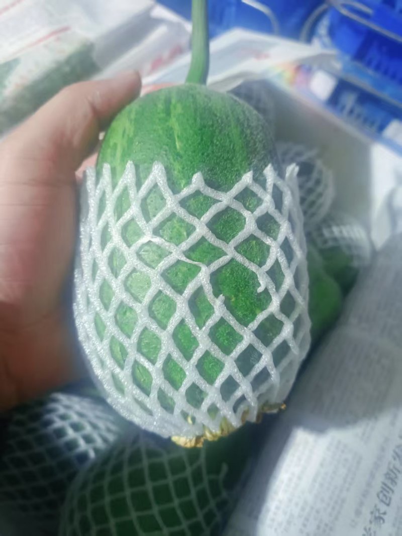苹果丝瓜