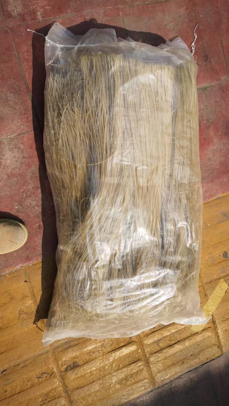 精品粉条现货速发量大质优品质保证欢迎来电咨询