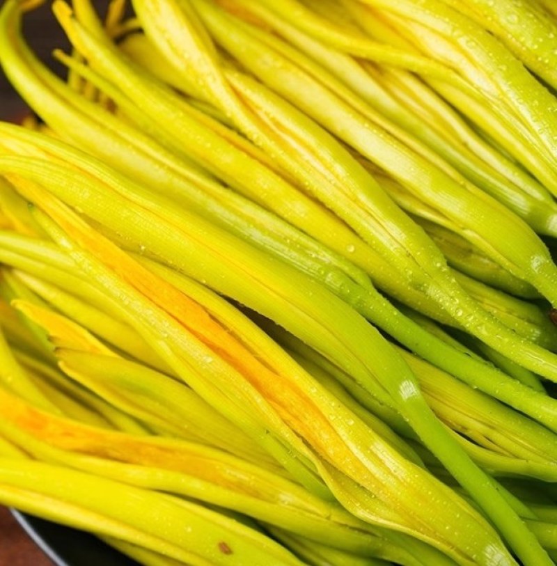 新鲜黄花菜现金针菜忘忧草渭南田间地头现供