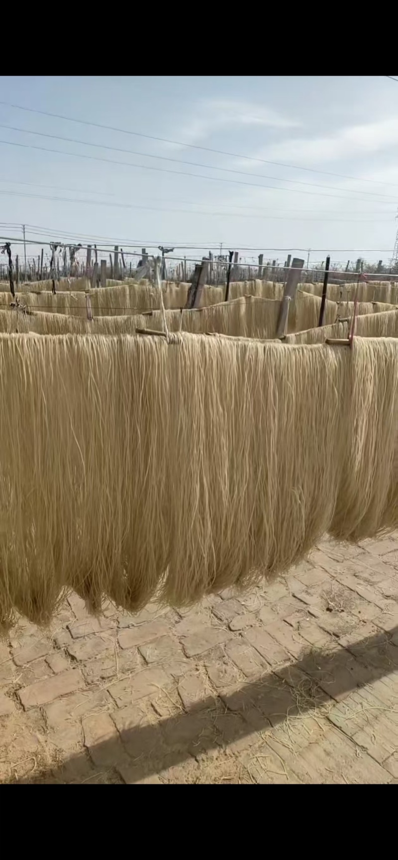 优选粉条，大量现货，价格实惠，质量保证，欢迎来电咨询