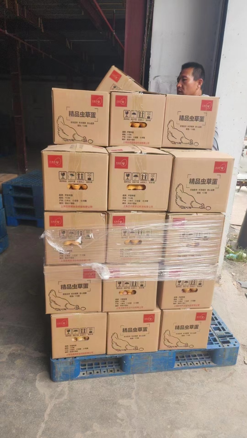 新鲜鸡蛋土鸡蛋粉蛋红蛋全国批发保证新鲜破损包赔