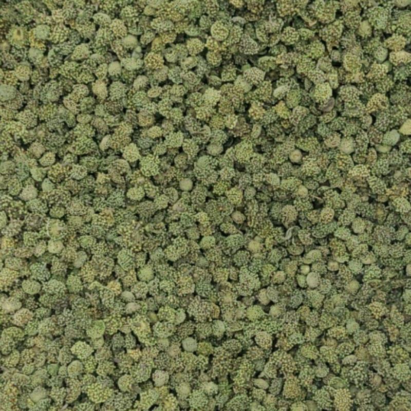 三七花批发价格