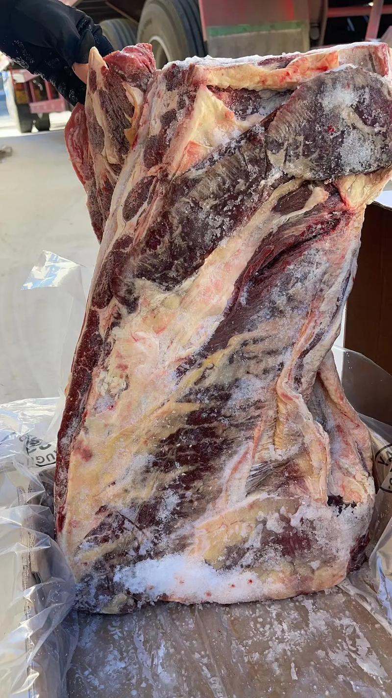 实力商家，牛腩排，价格便宜，一手货，品质保证，质量保证