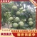 四川清脆李大量上市中，一手货源视频看货全国发货