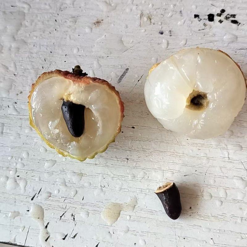 广西钦州糯米糍荔枝，皮薄肉厚，纯甜无酸！