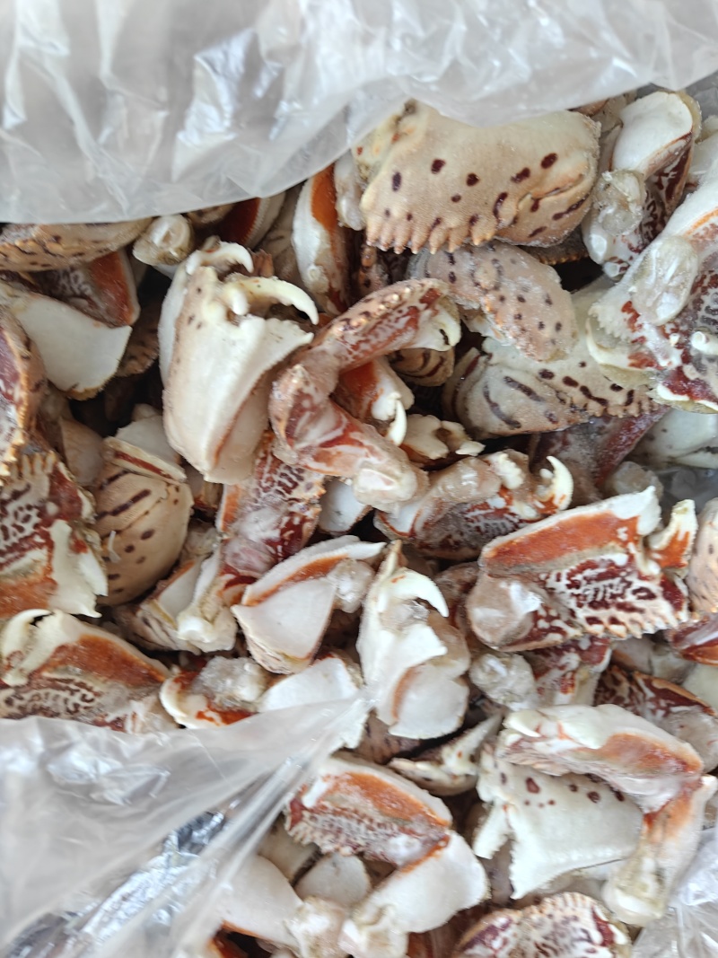 供应虎纹蟹钳元宝蟹钳肉质饱满坏钳几率少