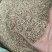 小茴香大货价格