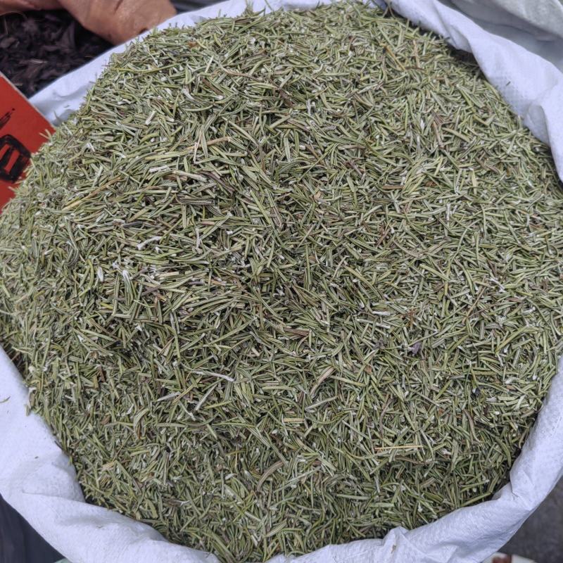 迷失香批发价格