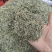 迷失香大货价格