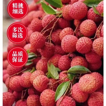 荔枝