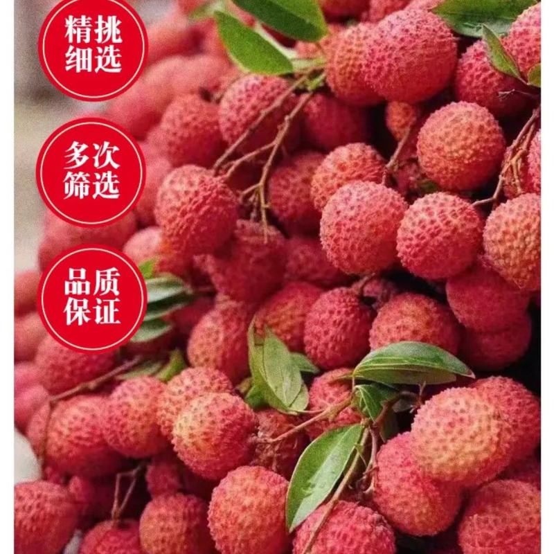 荔枝