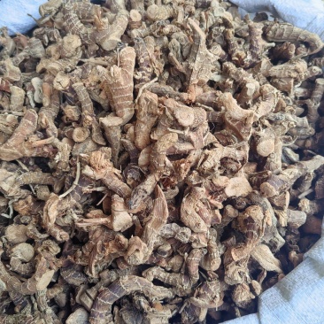 高良姜批发价格
