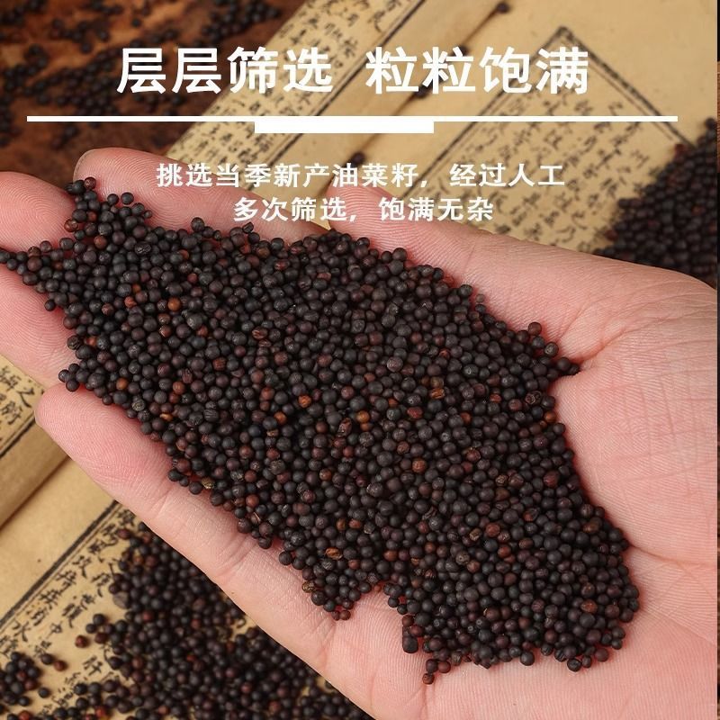 新油菜籽，大量有货，欢迎选购