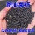 新油菜籽，大量有货，欢迎选购