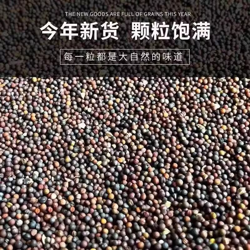 新油菜籽，大量有货，欢迎选购
