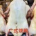广式烧鸭(生坯)