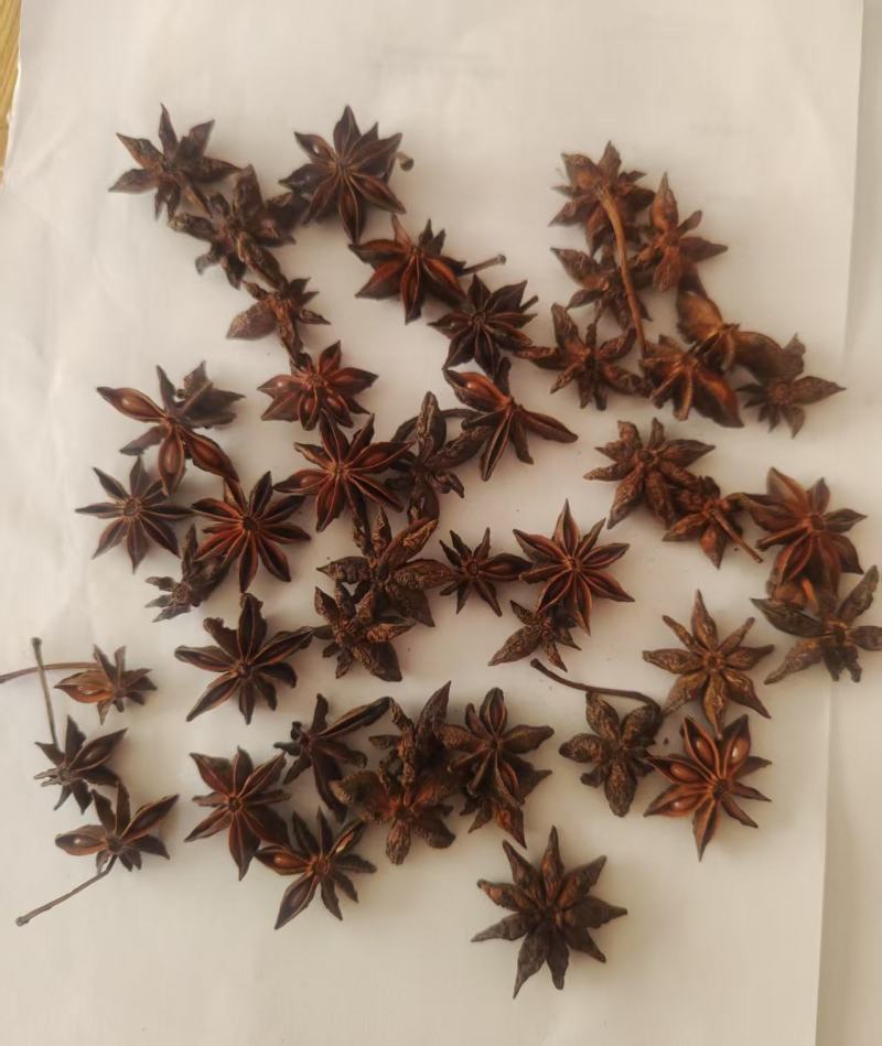 云南文山大红八角产地直发保证质量支持一件代发欢迎订购