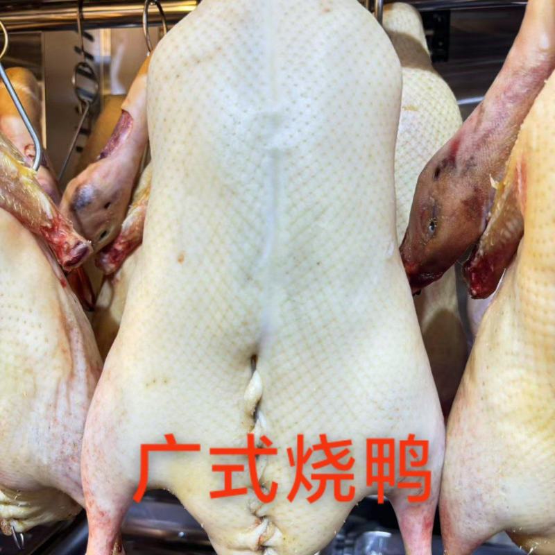 广式烧鸭(生坯)