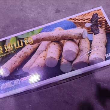 金沙山药产地直销口味软糯大量有货欢迎购买