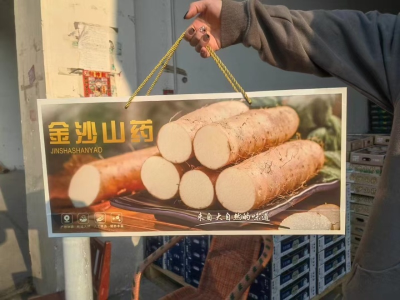 金沙山药产地直销口味软糯大量有货欢迎购买